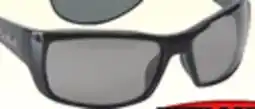 Big 5 Bolle Guide Sunglasses offer