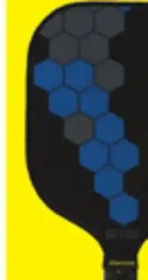 Big 5 GAMMA Fusion Pro Pickleball Paddle offer