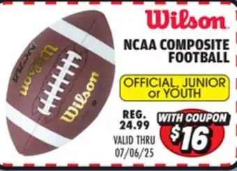 Big 5 Wilson NCAA Composite Official Football offer