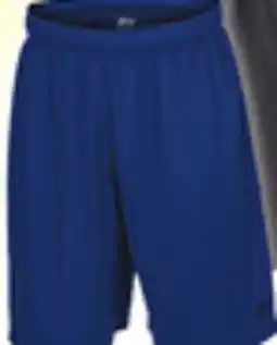 Big 5 Russell Athletic Men's Mesh Basketball Shorts offer