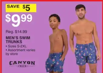 Dunham's Sports MEN'S SWIM TRUNKS offer