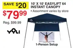 Dunham's Sports 10' X 10' EASYLIFT 64 INSTANT CANOPY offer