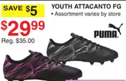 Dunham's Sports PUMA YOUTH ATTACANTO FG offer