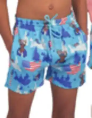Dunham's Sports BOYS' COMPRESSION LINED SWIM offer