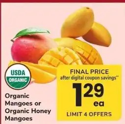 Safeway Organic Mangoes or Organic Honey Mangoes offer