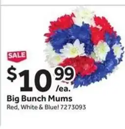Stop&Shop Big Bunch Mums offer