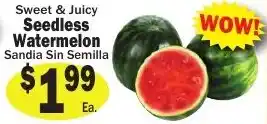 Sellers Bros Sweet & Juicy Seedless Watermelon offer