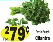 Sellers Bros Fresh Bunch Cilantro offer