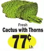 Sellers Bros Fresh Cactus with Thorns offer