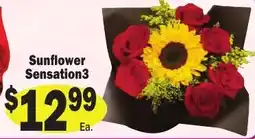 Sellers Bros Sunflower Sensation3 offer