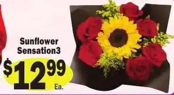 Sellers Bros Sunflower Sensation3 offer