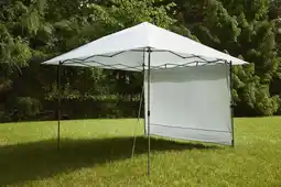 Walmart Coleman OASIS 10 x 10 Canopy Sun Wall Accessory offer