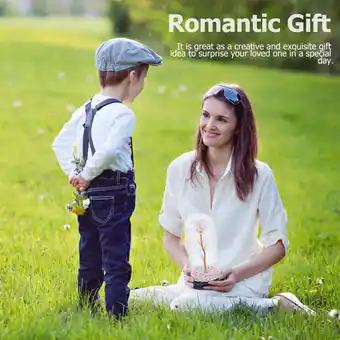 Walmart Raindrops Flowers Eternal Gift Mother 20X11cm offer