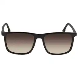 Walmart Carrera Brown Shaded Rectangular Unisex Sunglasses CARRERA 231/S 0R60/HA 55 offer