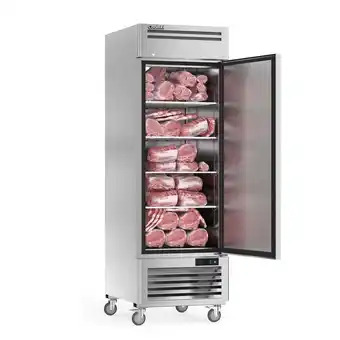 Walmart Coolski 27 W Commercial Freezer, 19.32 Cu.ft Single Solid Door Stainless Steel Reach-in Freezer offer