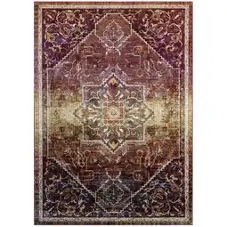 Walmart Success Kaede Transitional Distressed Vintage Floral Persian Medallion 4x6 Area Rug Multicolored offer
