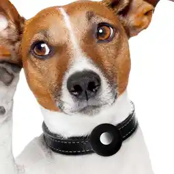 Walmart Hemoton Soft and Comfortable Silicone Pet Collar Holder for Air Tag 1 Set Anti Lost for Dogs Cats offer