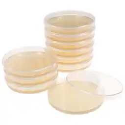 Walmart 10pcs Agar Plates Portable Prepoured Agar Petri Dishes Science Fair Projects Supplies offer