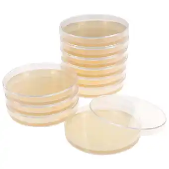 Walmart 10pcs Agar Plates Portable Prepoured Agar Petri Dishes Science Fair Projects Supplies offer