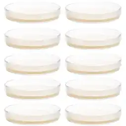 Walmart 10pcs Prepoured Agar Plates Petri Dishes with Agar Science Experiment Supplies offer