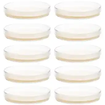 Walmart 10pcs Prepoured Agar Plates Petri Dishes with Agar Science Experiment Supplies offer