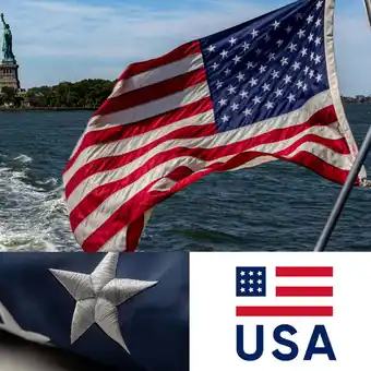 Walmart Nana Guard 3' x 5' Nylon USA National Flag offer