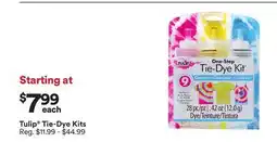 Michaels Tulip Tie-Dye Kits offer