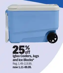 Meijer Igloo Coolers, Jugs and Ice Blocks offer