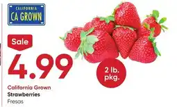 Stater Bros Strawberries offer