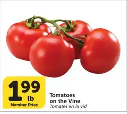 Vons Tomatoes on the Vine offer
