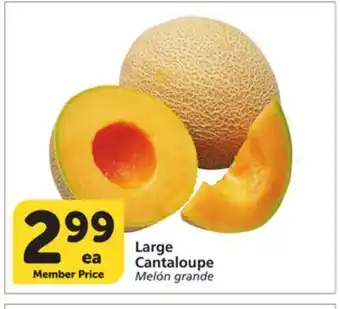 Albertsons Large Cantaloupe offer