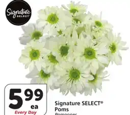 Albertsons Signature SELECT Poms offer