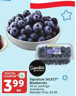 Albertsons Signature SELECT Blueberries offer