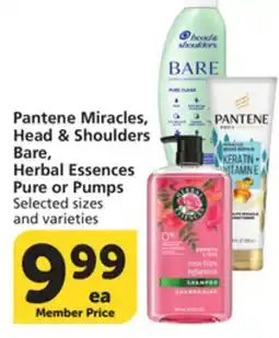 Albertsons Pantene Miracles, Head & Shoulders Bare, Herbal Essences Pure or Pumps offer