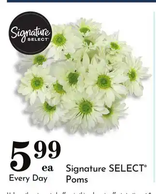 Pavilions Signature SELECT Poms offer