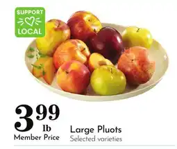Pavilions Large Pluots offer
