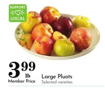 Pavilions Large Pluots offer