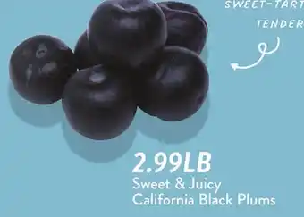 Fresh Thyme Sweet & Juicy California Black Plums offer