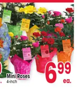 Jewel-Osco Mini Roses offer