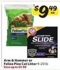 Winn Dixie Arm & Hammer or Feline Pine Cat Litter offer