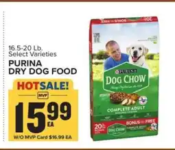 Food Lion Purina Dry Dog Food offer