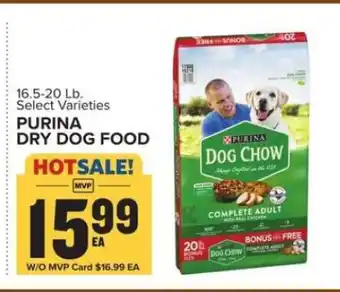 Food Lion Purina Dry Dog Food offer