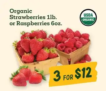 Sprouts Farmers Market Organic Strawberries 1 lb. or Raspberries 6 oz offer