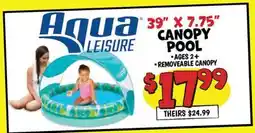Ollie's CANOPY POOL offer