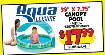 Ollie's CANOPY POOL offer