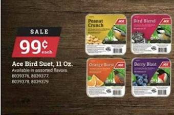 Ace Hardware Ace Bird Suet offer