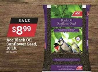 Ace Hardware Ace Black Oil Sunflower Seed offer