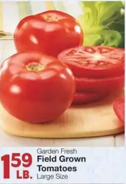Market Street Garden fresh field grown tomatoes offer