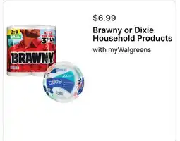 Walgreens Brawny or Dixie Household Products offer
