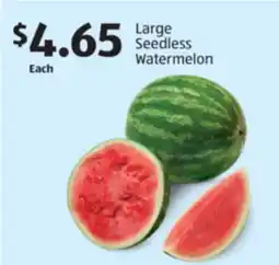 Aldi Large Seedless Watermelon offer